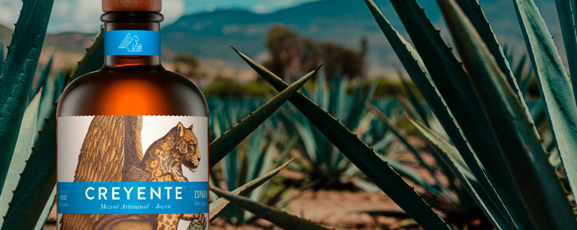 Mezcal de Oaxaca artesanal: La tradición viva del agave